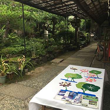 みみみぃみさんが投稿した松尾万石町そばのお店苔乃茶屋/こけのちゃやの写真