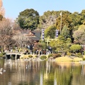 実際訪問したユーザーが直接撮影して投稿した水前寺公園神社出水神社の写真