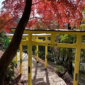 実際訪問したユーザーが直接撮影して投稿した西宮町神社足利織姫神社の写真