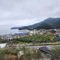 実際訪問したユーザーが直接撮影して投稿した西村植物園 / 樹木園小豆島オリーブ園の写真