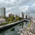 実際訪問したユーザーが直接撮影して投稿した木場橋木場公園大橋の写真