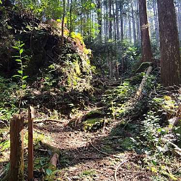 くまくまくまーさんが投稿した山 / 峠のお店如法山の写真