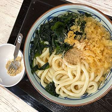 丸亀製麺 イオンモール伊丹店のundefinedに実際訪問訪問したユーザーunknownさんが新しく投稿した新着口コミの写真