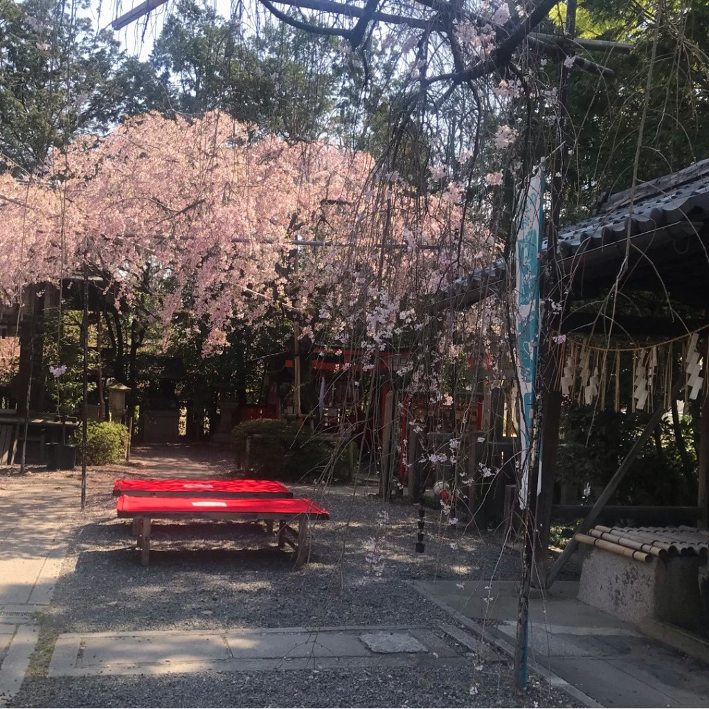 実際訪問したユーザーが直接撮影して投稿した扇町(堀川通)神社水火天満宮の写真