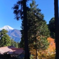 実際訪問したユーザーが直接撮影して投稿した身延山 / 峠身延山の写真