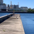 実際訪問したユーザーが直接撮影して投稿した中央港公園千葉ポートパークの写真