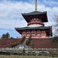 実際訪問したユーザーが直接撮影して投稿した成田公園成田山公園の写真