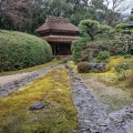 実際訪問したユーザーが直接撮影して投稿した小泉町寺慈光院の写真