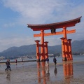 実際訪問したユーザーが直接撮影して投稿した宮島町神社嚴島神社 参拝入口の写真