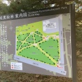 実際訪問したユーザーが直接撮影して投稿した湯川町公園湯川黒松林の写真