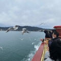 実際訪問したユーザーが直接撮影して投稿した舘山寺町洋食浜松るんるん動物レストランの写真