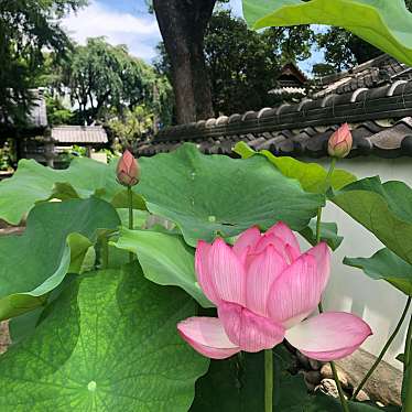 実際訪問したユーザーが直接撮影して投稿した寺部町寺随応院の写真