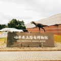 実際訪問したユーザーが直接撮影して投稿した村岡町寺尾博物館福井県立恐竜博物館の写真