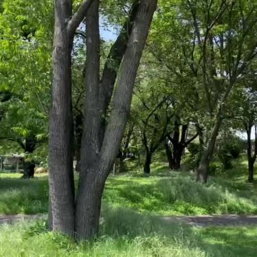 ゆーーーーーーさんが投稿した中央公園のお店伊那公園/イナコウエンの写真