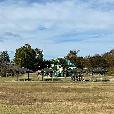 実際訪問したユーザーが直接撮影して投稿した伊勢寺町公園香りの広場の写真