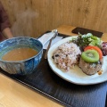 鴨ハンバーグカレー - 実際訪問したユーザーが直接撮影して投稿した山ノ内スープカレー北鎌倉 ぬふ・いちの写真のメニュー情報