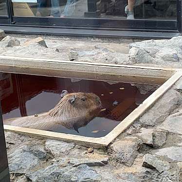 実際訪問したユーザーが直接撮影して投稿した吉浜銭湯 / サウナ・岩盤浴ばんやの湯の写真