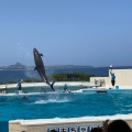 実際訪問したユーザーが直接撮影して投稿した石川水族館 / アクアリウムオキちゃん劇場の写真