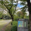 実際訪問したユーザーが直接撮影して投稿した大島公園大島小松川公園の写真