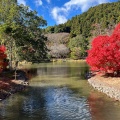 実際訪問したユーザーが直接撮影して投稿した内郷白水町寺白水阿弥陀堂の写真