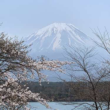 精進湖のundefinedに実際訪問訪問したユーザーunknownさんが新しく投稿した新着口コミの写真