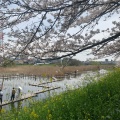 実際訪問したユーザーが直接撮影して投稿した三橋公園三橋総合公園の写真