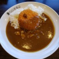 セットクリコロ - 実際訪問したユーザーが直接撮影して投稿した美園カレーカレーハウスCoCo壱番屋 守谷美園店の写真のメニュー情報