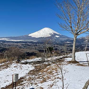 tancrowさんが投稿した竹之下公園のお店誓いの丘公園/チカイノオカコウエンの写真