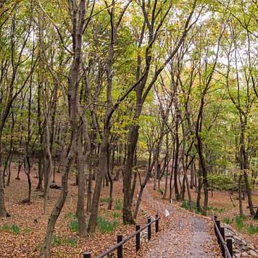 実際訪問したユーザーが直接撮影して投稿した西浦町公園県南大規模公園の写真