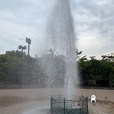 実際訪問したユーザーが直接撮影して投稿した玉島乙島公園玉島の森の写真