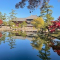 実際訪問したユーザーが直接撮影して投稿した雑司町寺東大寺の写真