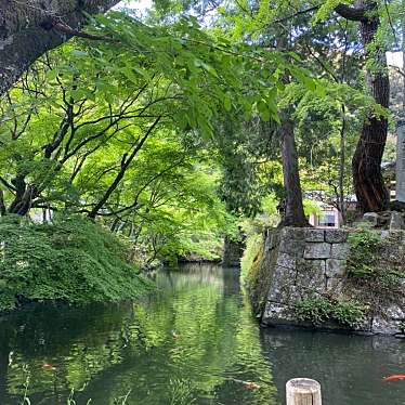 実際訪問したユーザーが直接撮影して投稿した松平町神社八幡神社松平東照宮の写真