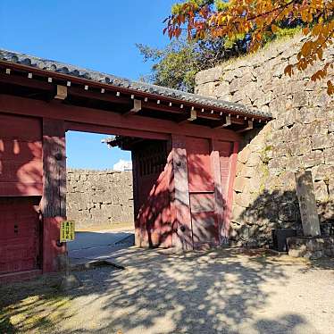 実際訪問したユーザーが直接撮影して投稿した一番丁城 / 城跡和歌山城 追廻門の写真