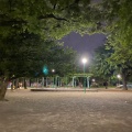 実際訪問したユーザーが直接撮影して投稿した正木公園正木公園の写真