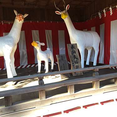 ははみんさんが投稿した一宮町神社のお店砥鹿神社/トガ ジンジャの写真