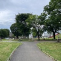 実際訪問したユーザーが直接撮影して投稿した江ケ崎町公園新鶴見公園の写真