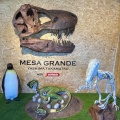 実際訪問したユーザーが直接撮影して投稿した屋島東町カフェ恐竜カフェ メサ・グランデの写真