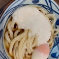 実際訪問したユーザーが直接撮影して投稿した稲岡うどん丸亀製麺 イオンモールつくば店の写真