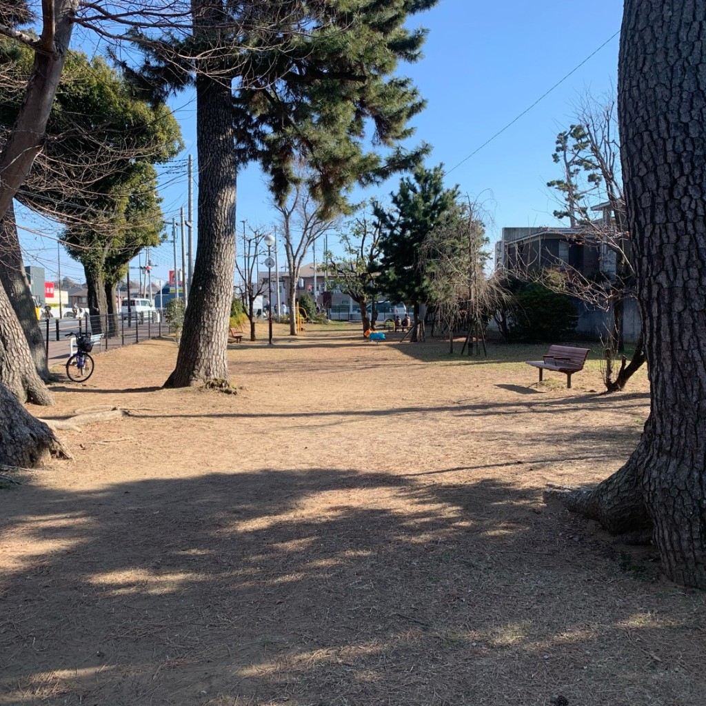 実際訪問したユーザーが直接撮影して投稿した八幡公園八幡東公園の写真