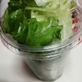 FULUFULUSALAD/グリーン - 実際訪問したユーザーが直接撮影して投稿した入舟町お弁当ほっともっと 岐阜入舟店の写真のメニュー情報