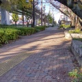 実際訪問したユーザーが直接撮影して投稿した橘公園下茶屋街園の写真