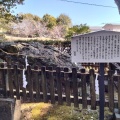 実際訪問したユーザーが直接撮影して投稿した一宮しなね神社土佐神社の写真