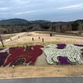 実際訪問したユーザーが直接撮影して投稿した楠本植物園 / 樹木園兵庫県立公園 あわじ花さじきの写真