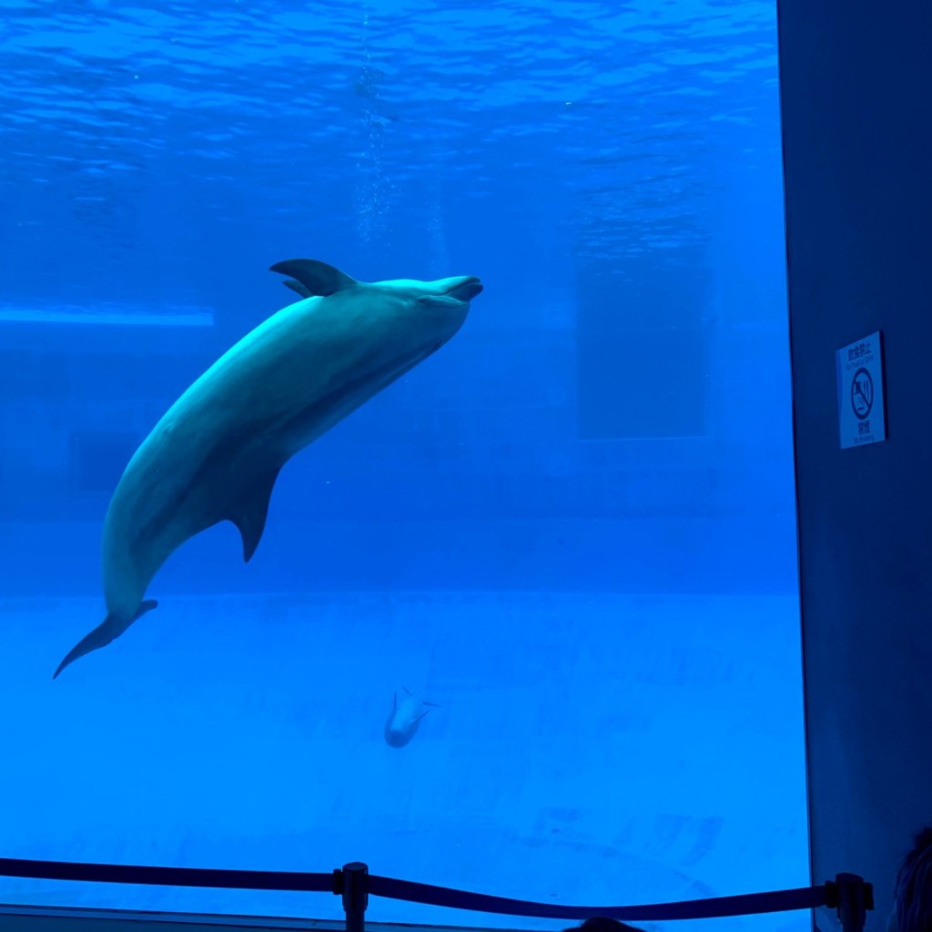 luuuunaさんが投稿した港町水族館 / アクアリウムのお店名古屋港水族館/ナゴヤコウスイゾクカンの写真