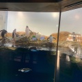 実際訪問したユーザーが直接撮影して投稿した高輪水族館 / アクアリウムマクセル アクアパーク品川の写真