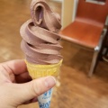 チョコレートソフト - 実際訪問したユーザーが直接撮影して投稿した矢野口ラーメン専門店味噌衛門の写真のメニュー情報