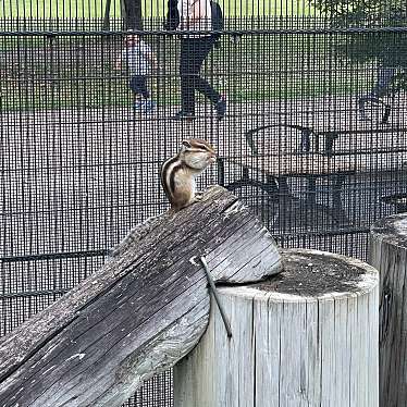 実際訪問したユーザーが直接撮影して投稿した見沼動物園りすの家の写真