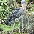 実際訪問したユーザーが直接撮影して投稿した港島南町動物園神戸どうぶつ王国の写真