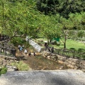 実際訪問したユーザーが直接撮影して投稿した数久田滝 / 渓谷轟之滝の写真