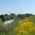 実際訪問したユーザーが直接撮影して投稿した河川境川の写真